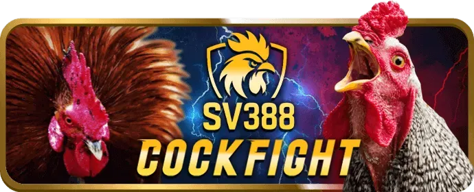 Ưu đãi VIP ju888